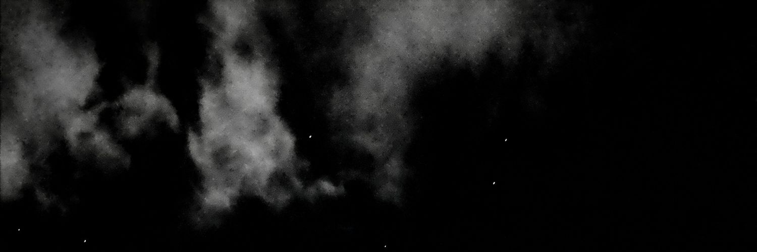 Raikolescence's profile banner image