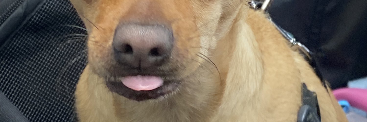 Diaanafv's profile banner image