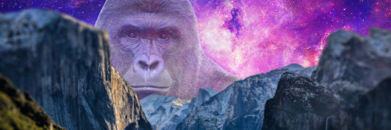 AlphanOzcalik's profile banner image