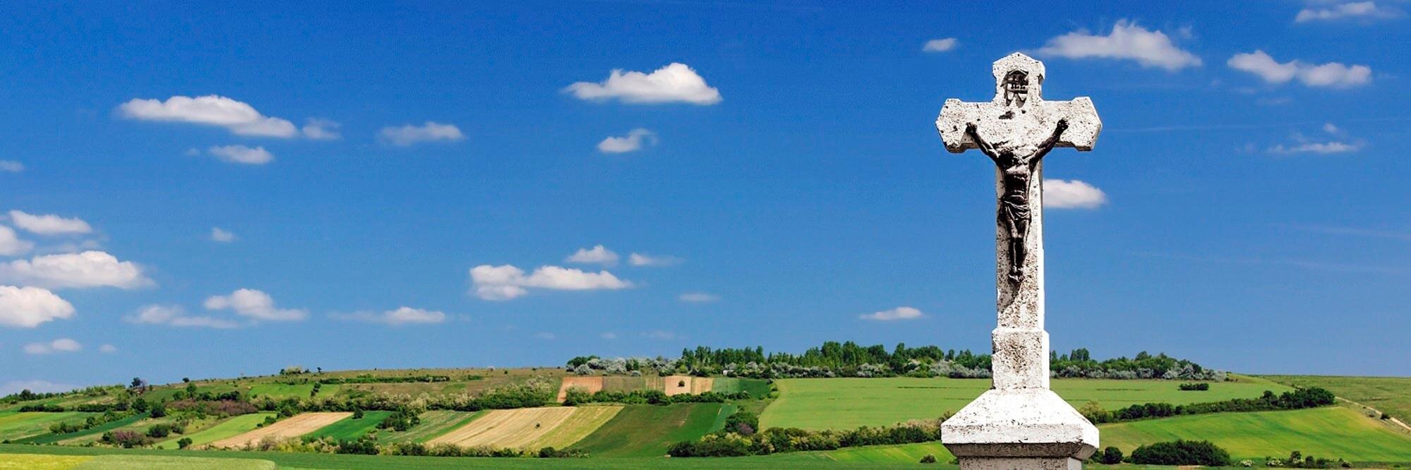 CatholicEcology's profile banner image