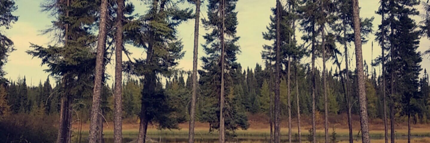 AshleeyErin's profile banner image