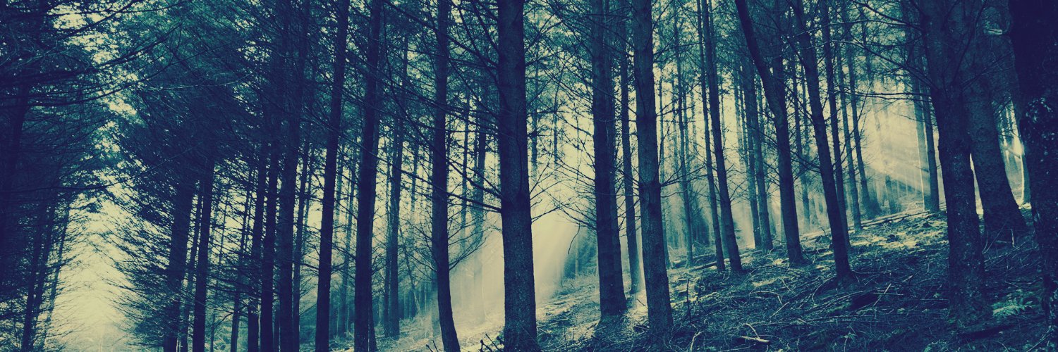 _S_FEO_R_'s profile banner image