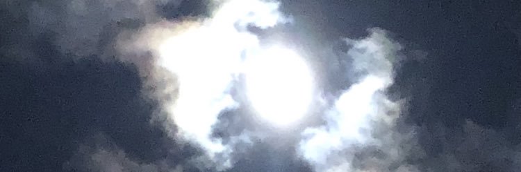 Brigid Kennedy banner