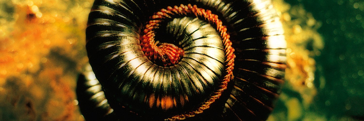 AlanMosMoore's profile banner image