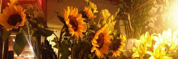 Diego. banner