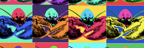 KuwaitLobster's profile banner image