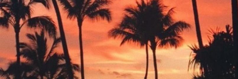 Alexavilarango's profile banner image