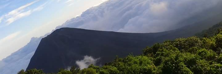 dialogosv's profile banner image