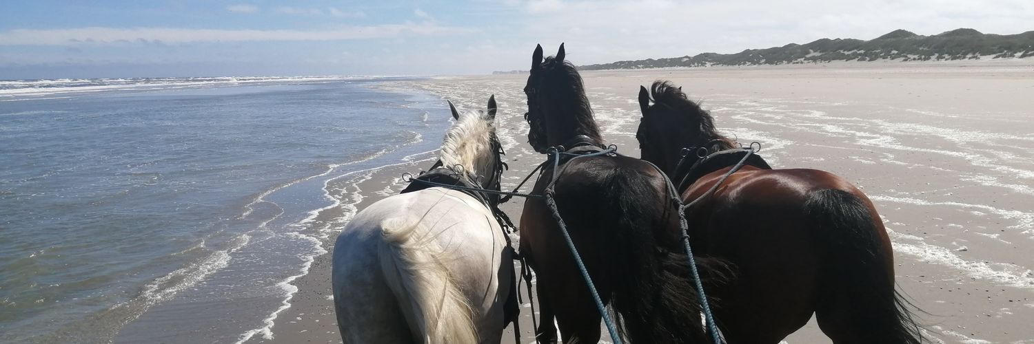 DebbievanVeghel's profile banner image
