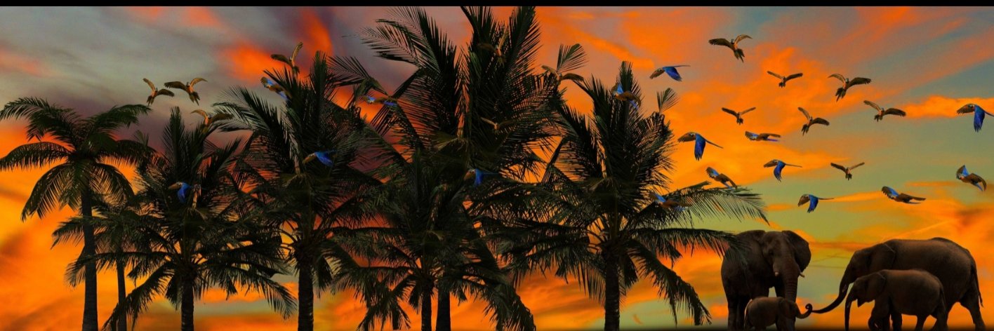 DiwakerShukla6's profile banner image
