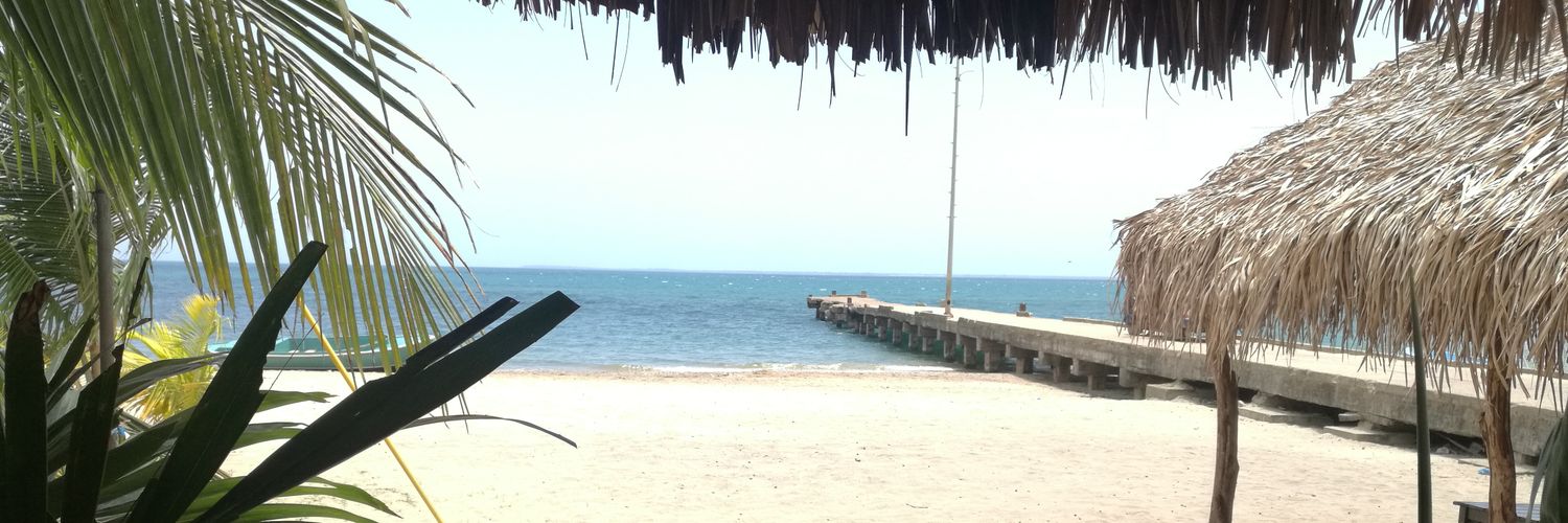 elo_Ortega's profile banner image