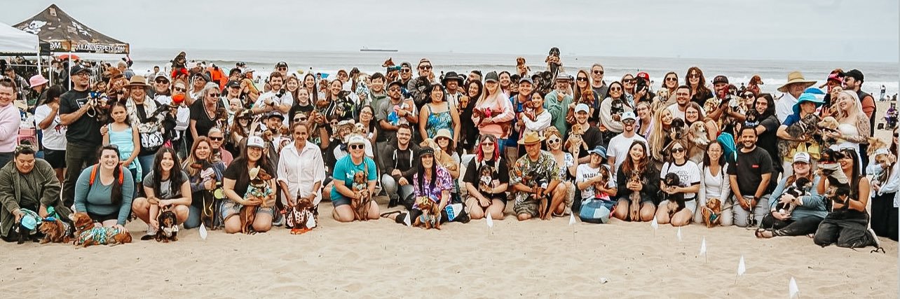lifewithweenies's profile banner image
