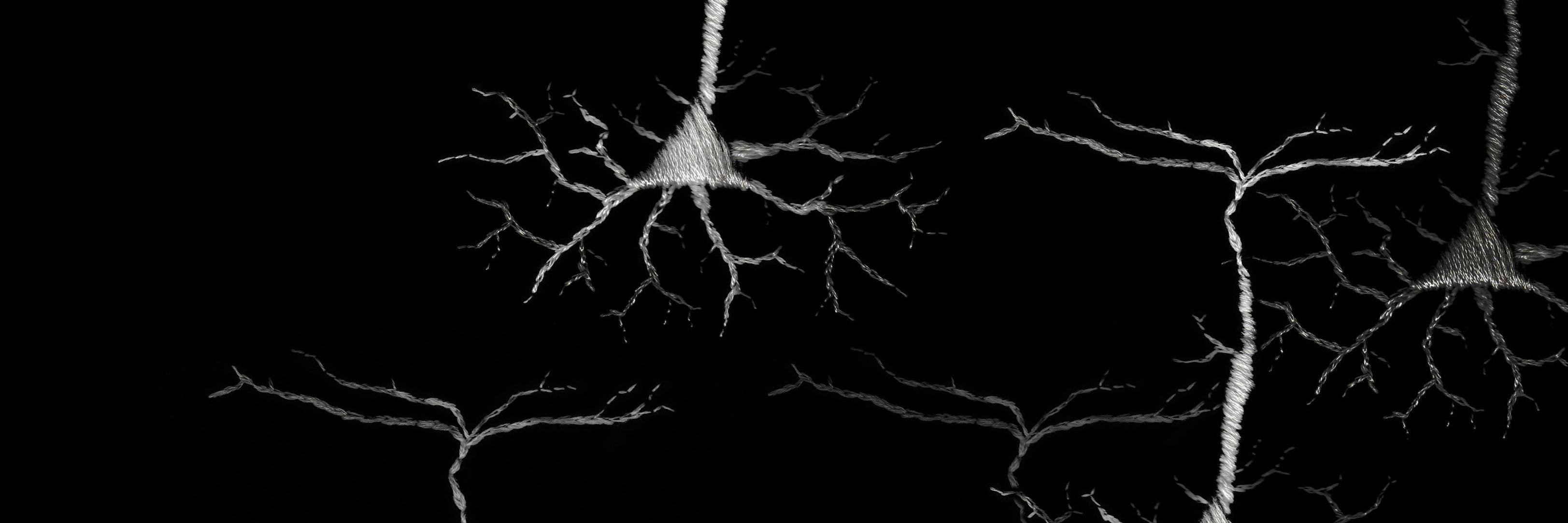 embroidology's profile banner image