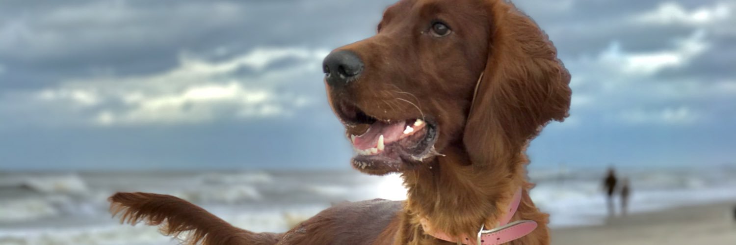credutien's profile banner image