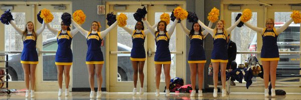 hockinghawks Profile Banner