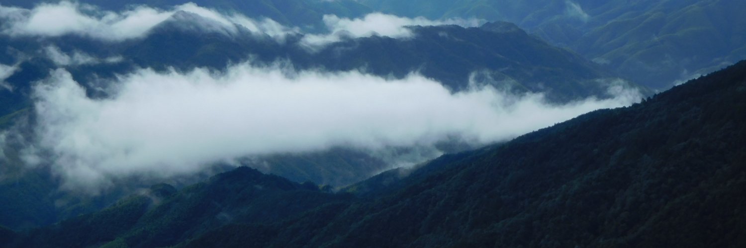 malsagne's profile banner image