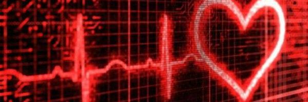 KarumeMoha Profile Banner