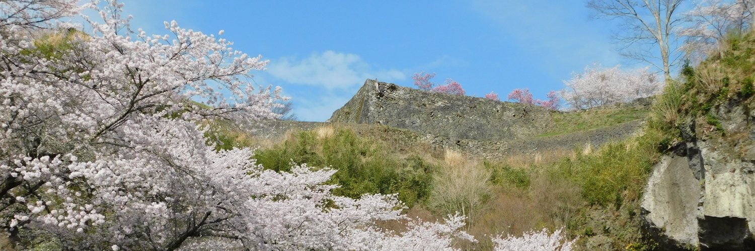 タ゛ーツ banner