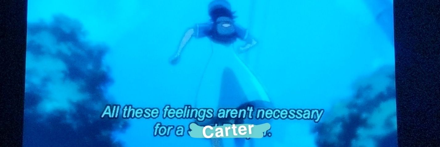 Carter banner