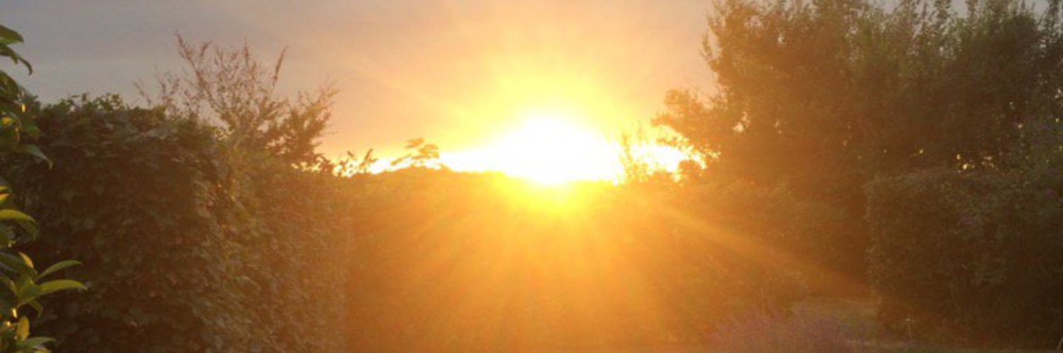 npje's profile banner image
