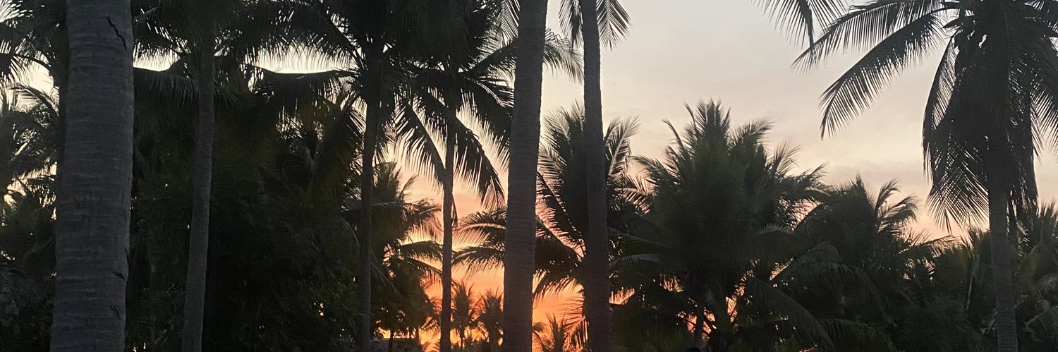 Marilly11's profile banner image