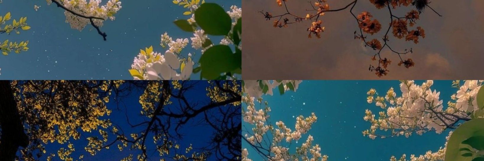 nclmbrs's profile banner image
