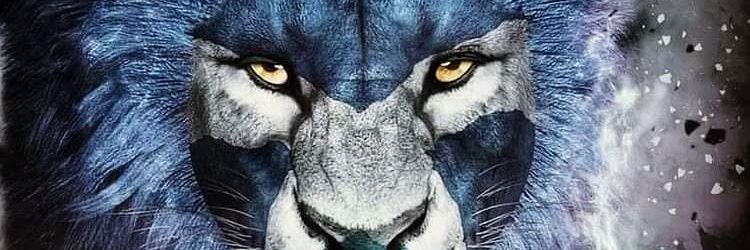 steven stewart banner