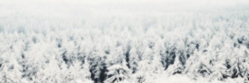 nokian00's profile banner image