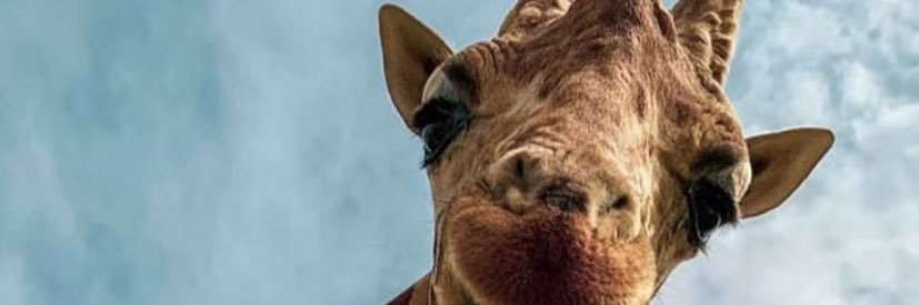 ZZJones1's profile banner image