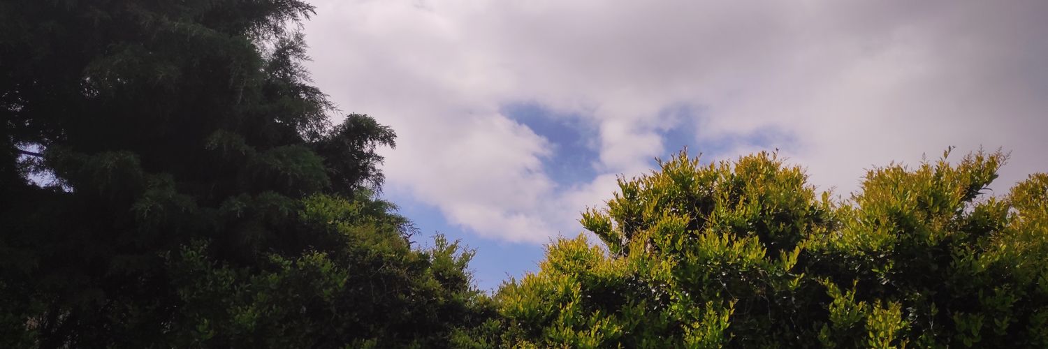 Agr3ch's profile banner image