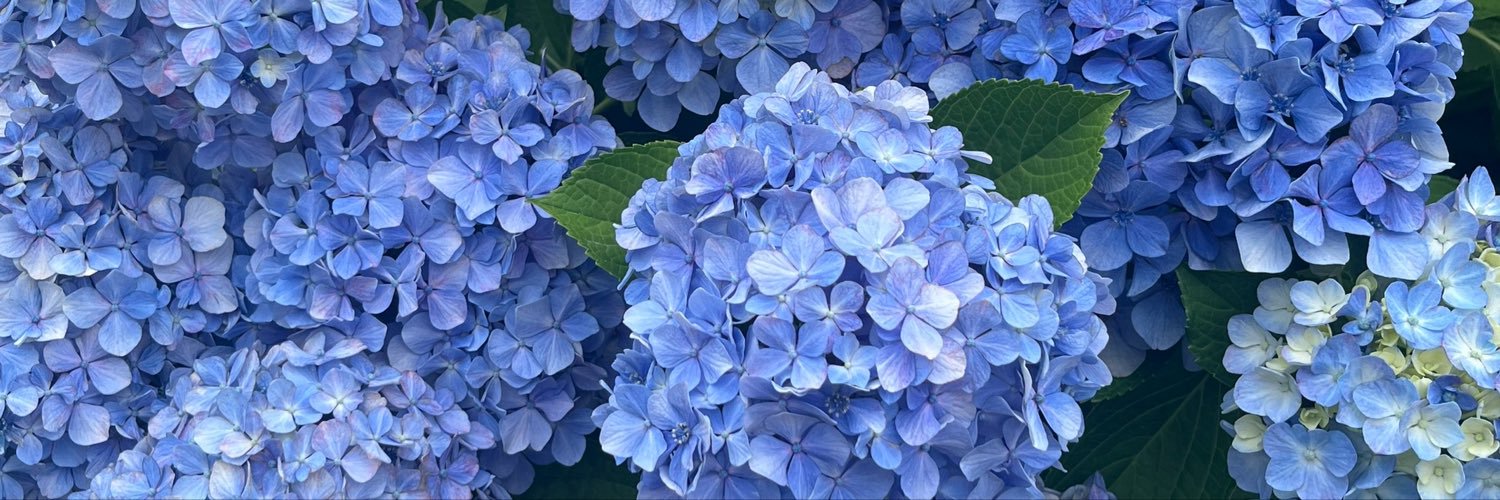snowlike0214's profile banner image