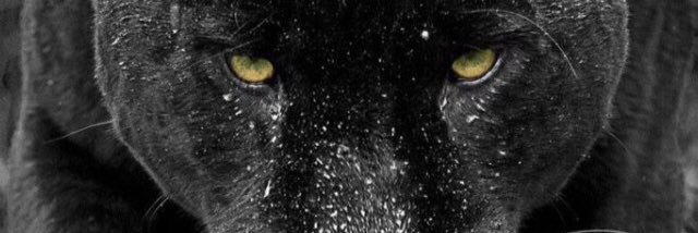 AvgdStudent's profile banner image