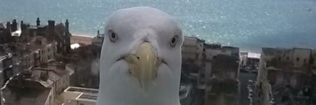 TomDeboer8's profile banner image