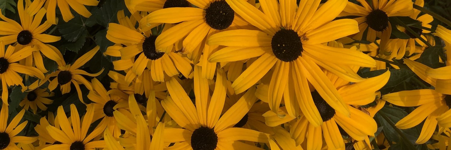 ashwleyyy's profile banner image