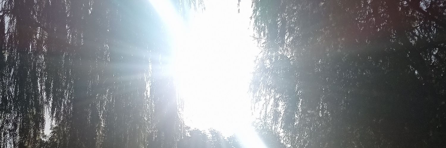 AaleeWafa's profile banner image
