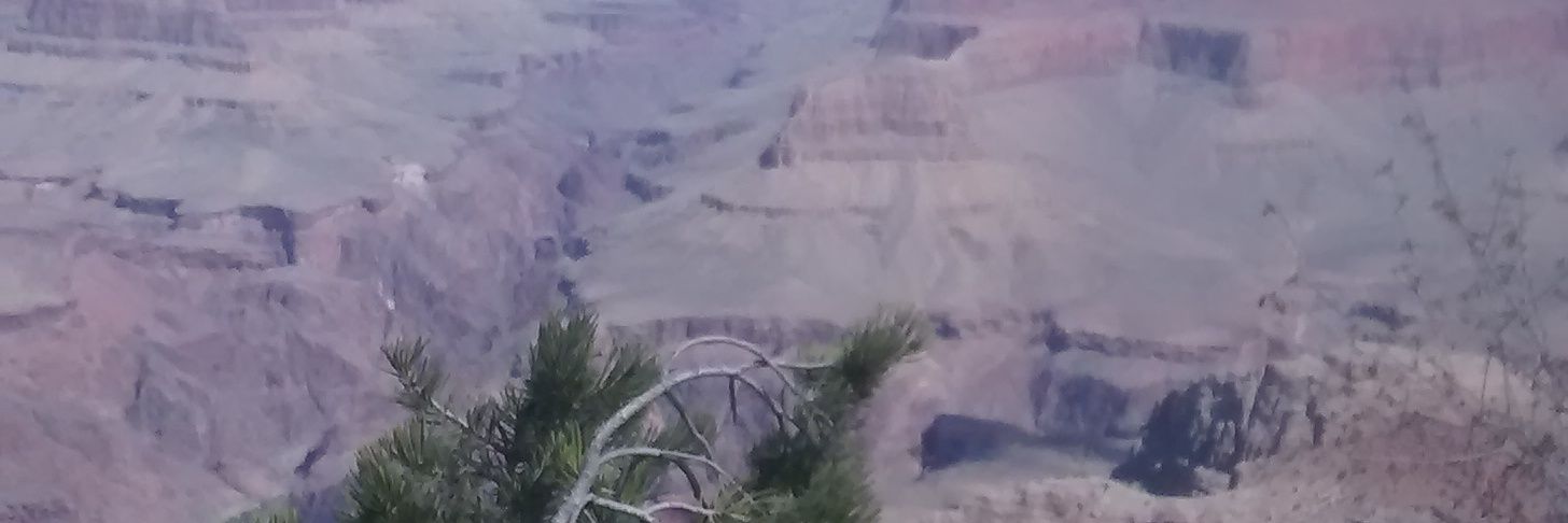 TeemingGiant1's profile banner image