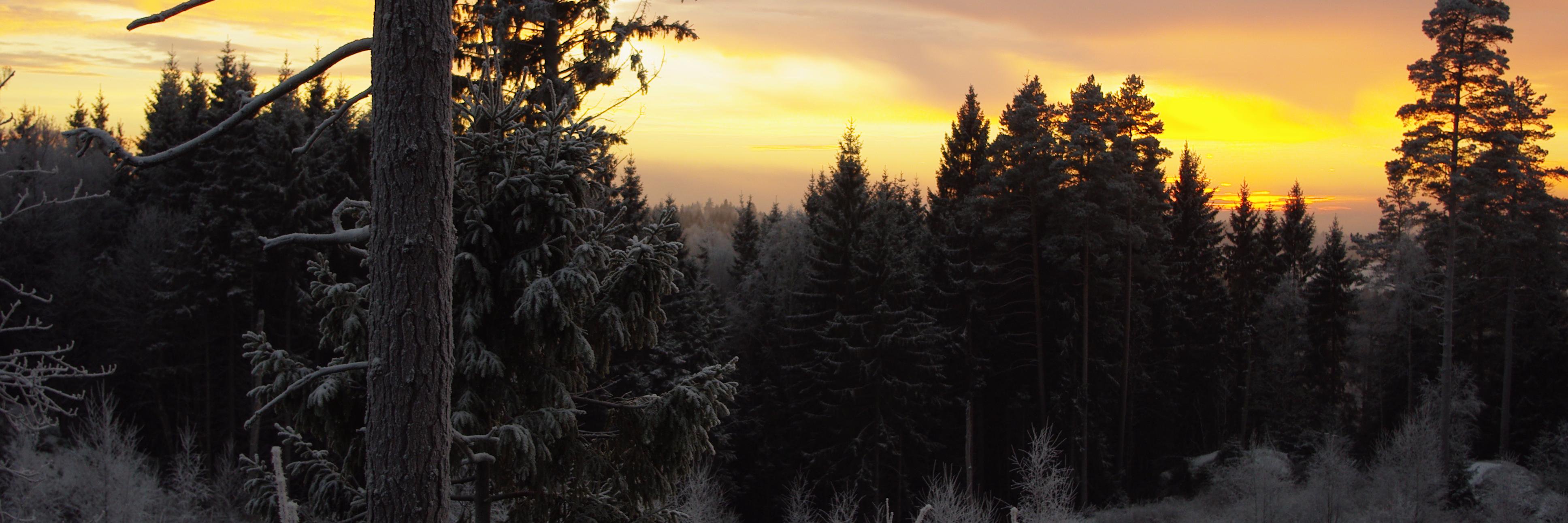 Sigsn's profile banner image