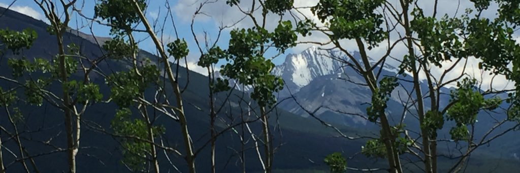 mtns4ever's profile banner image