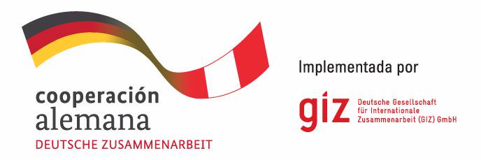 ITgizperu banner