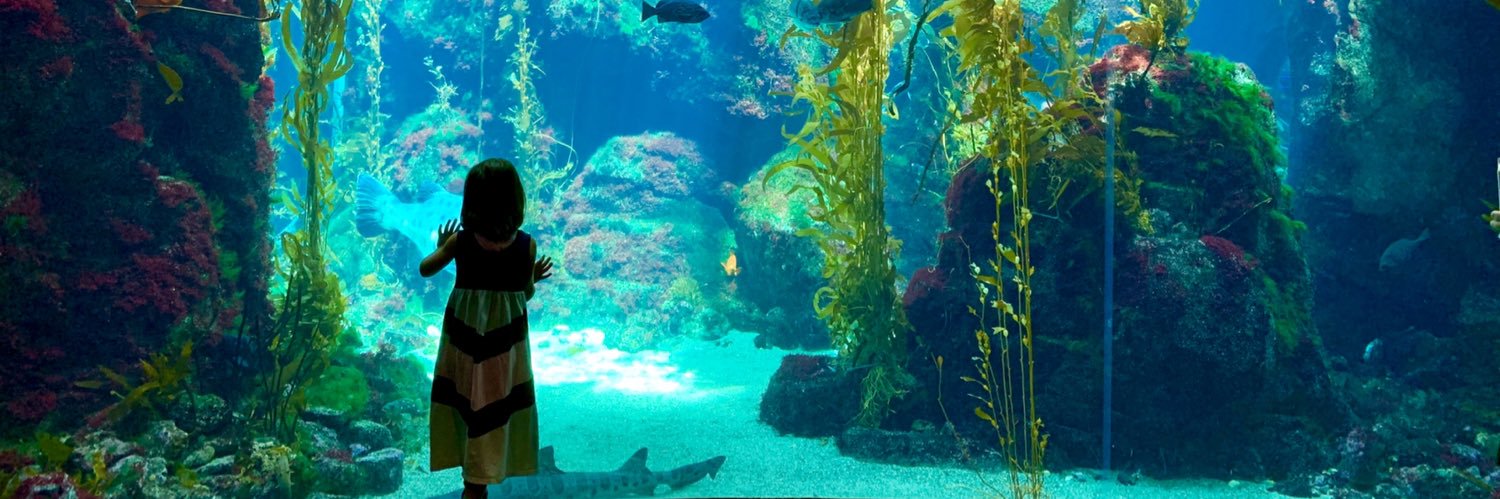 Louis Goldberg banner