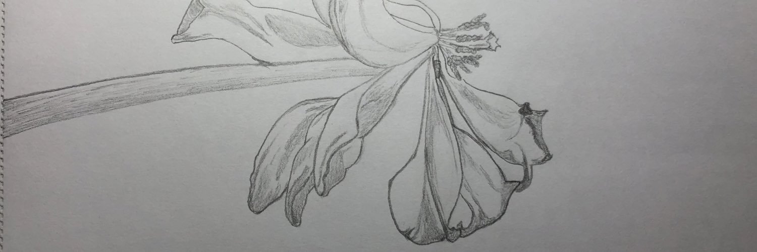 friendk2's profile banner image