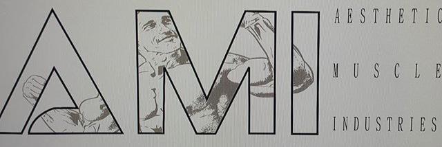 AestheticMi's profile banner image