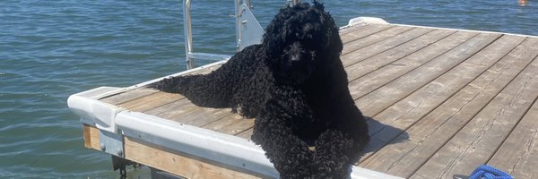 vickiperlini Profile Banner