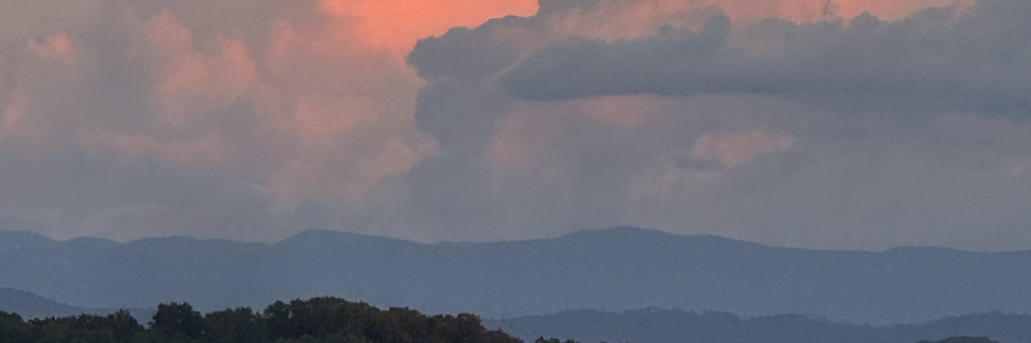 bigasabear's profile banner image