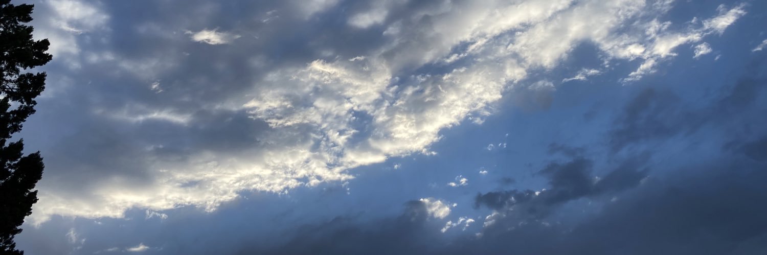Delfido Chavez 🦦 banner