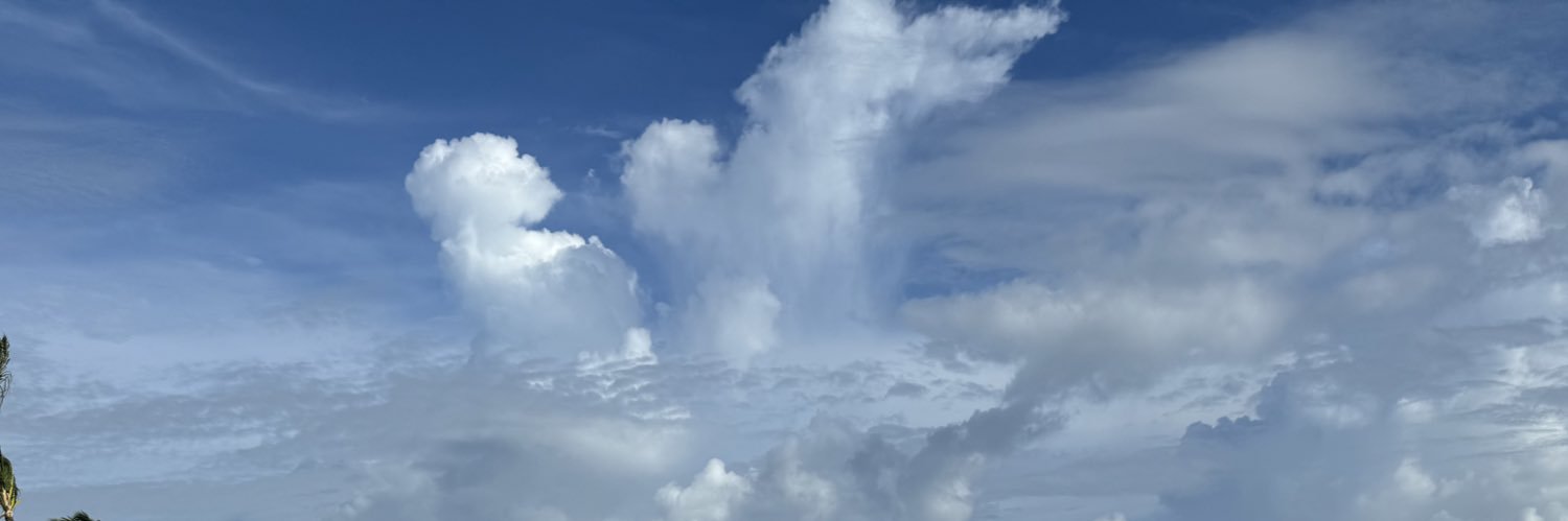 itsjoyashley's profile banner image