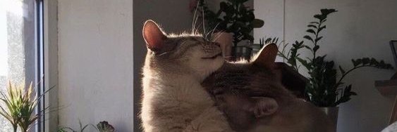 bhettyt's profile banner image