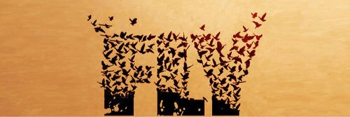 آن~ banner