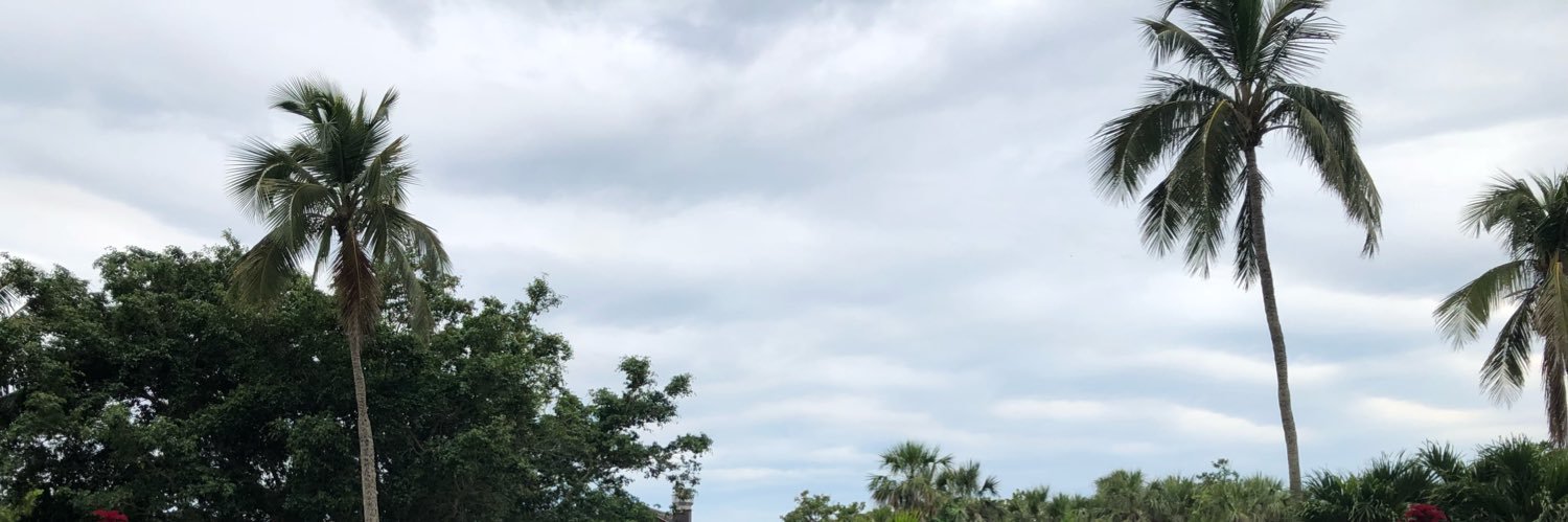 bbydri_'s profile banner image