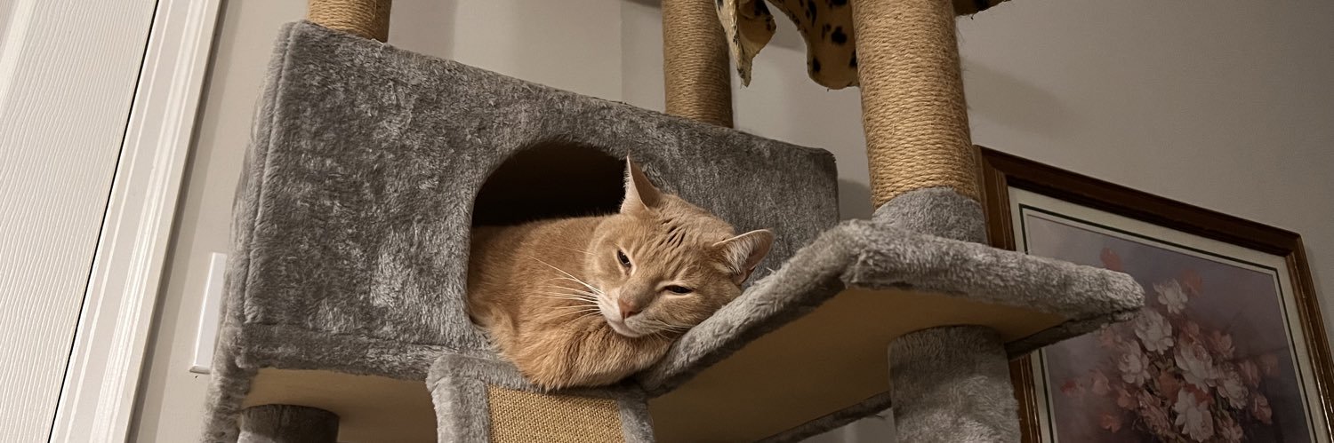 ( ◠‿◠ ) banner